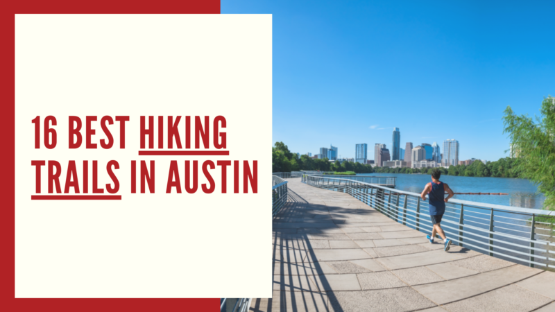 16 Best Hiking Trails In Austin Move To Austin